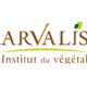 Arvalis - Institut du végétal logo