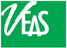 Minh Vi Exhibition & Advertisement Services Co., Ltd (VEAS CO., LTD) logo