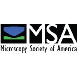 Microscopy Society of America logo