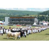 Royal Welsh Showground