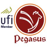 Pegasus Consultancy (Pvt.) Ltd. logo
