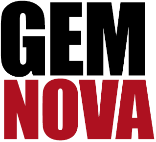 GemNova DienstleistungsGmbH logo