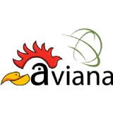 Aviana Exhibitions Inc. logo