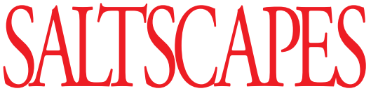 Saltscapes Publishing Limited logo