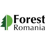 Forest Romania 2024