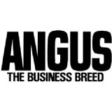 American Angus Association logo