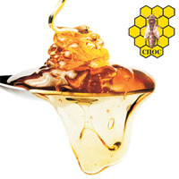 Governmental Beekeeping Fair 2023