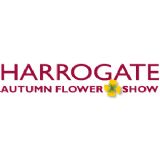 Harrogate Autumn Flower Show 2019