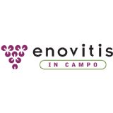 Enovitis in Campo 2019