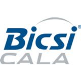 BICSI CALA Mexico 2019