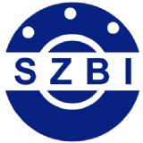 Shenzhen Bearing Exhibition 2021