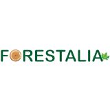Forestalia 2025