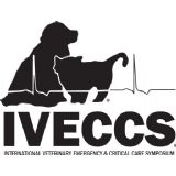 IVECCS 2019