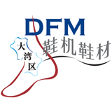 DFM 2025