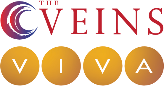 The VEINS / VIVA 2024