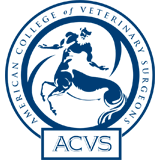 ACVS Surgery Summit 2024