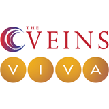 The VEINS / VIVA 2023