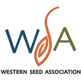 WSA Convention 2025