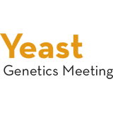 Yeast Genetics Meeting 2024