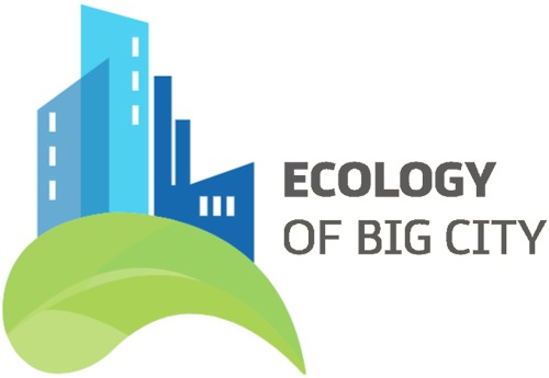 Ecology of Big City 2025