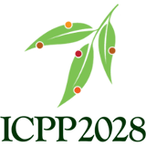 ICPP 2028