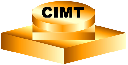 CIMT 2013