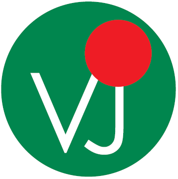 VISION Japan 2012
