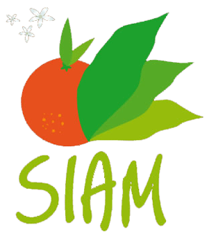 SIAM 2012