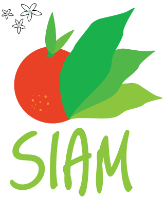 SIAM 2013