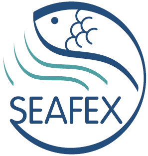 SEAFEX 2013