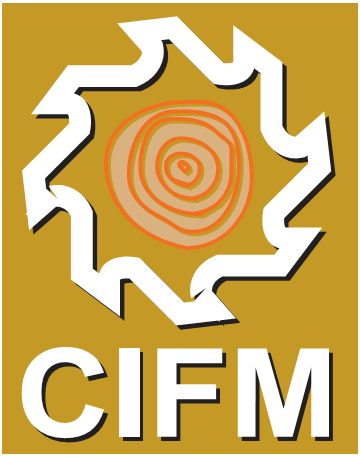 CIFM 2013