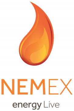 NEMEX Energy Live 2013
