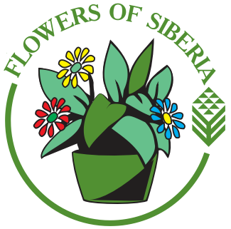 SibFlower 2013