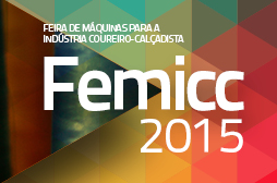 Femicc 2015