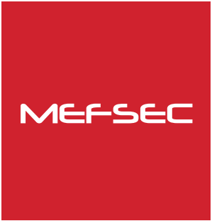 MEFSEC 2013