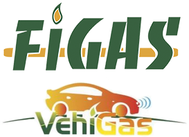 FiGas & VehiGas 2016