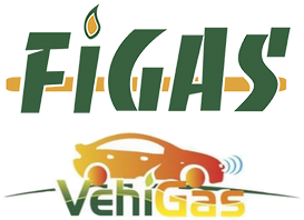 FiGas & VehiGas 2018