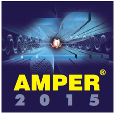 AMPER 2015