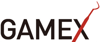 GAMEX 2013