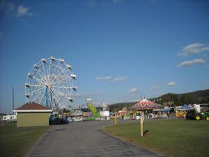 Dekalb County Vfw Agricultural Fair