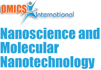 Nanoscience 2016