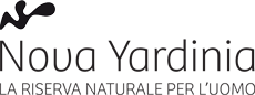 Nova Yardinia logo