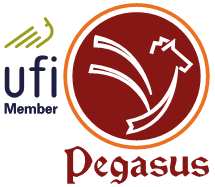 Pegasus Consultancy (Pvt.) Ltd. logo