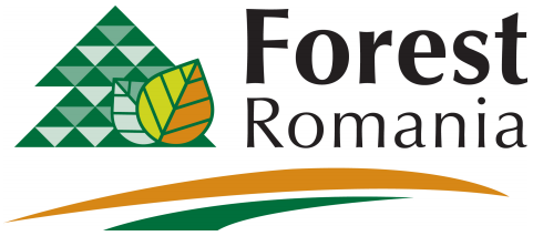 Forest Romania 2015