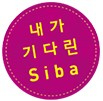 Siba 2016