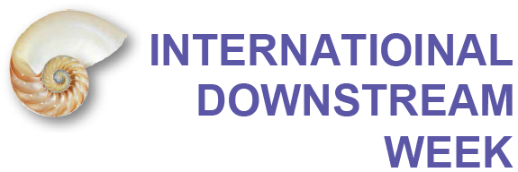 International Downstream Week 2019