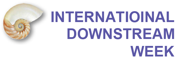 International Downstream Week 2016