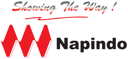 PT. Napindo Media Ashatama logo