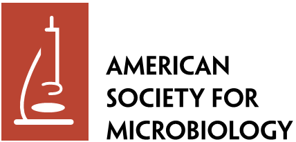 American Society for Microbiology (ASM) logo