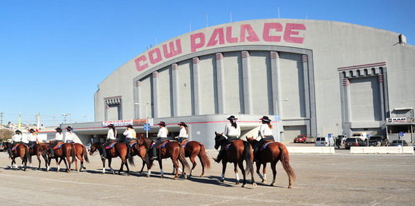 Cow Palace